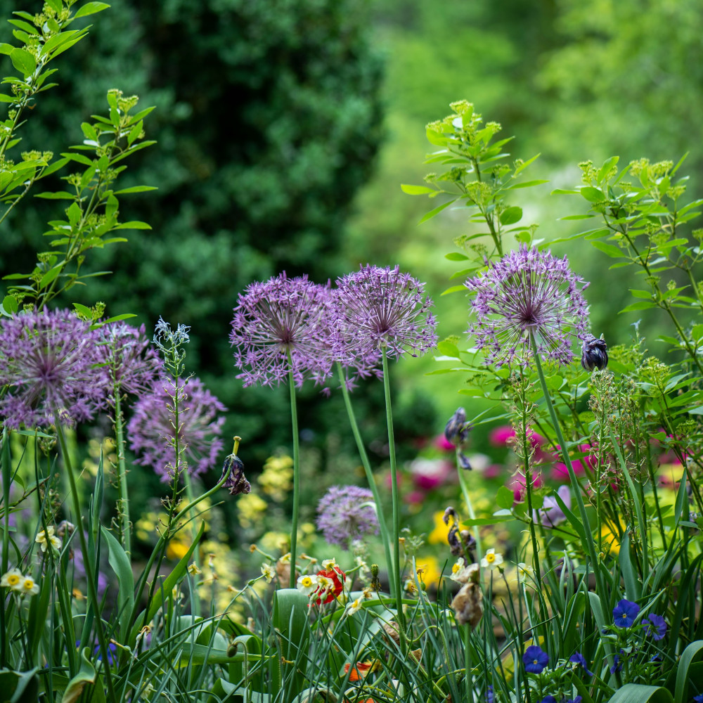 paysagiste jardins poitiers